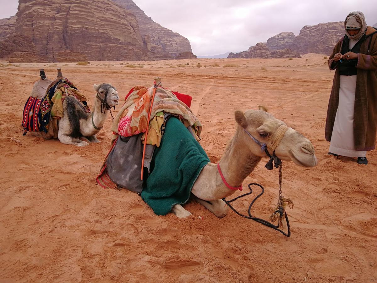 فندق وادي رمفي  مارتيان كامب المظهر الخارجي الصورة