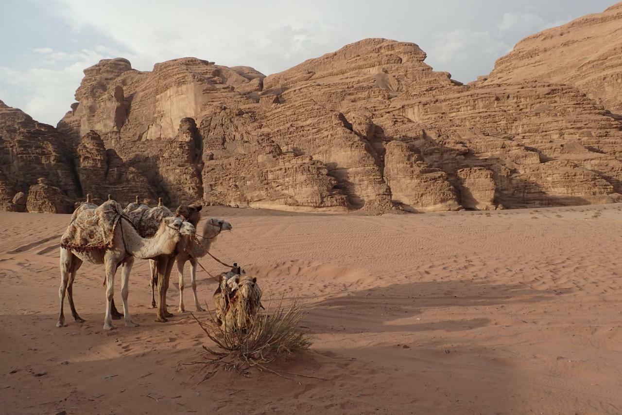 فندق وادي رمفي  مارتيان كامب المظهر الخارجي الصورة